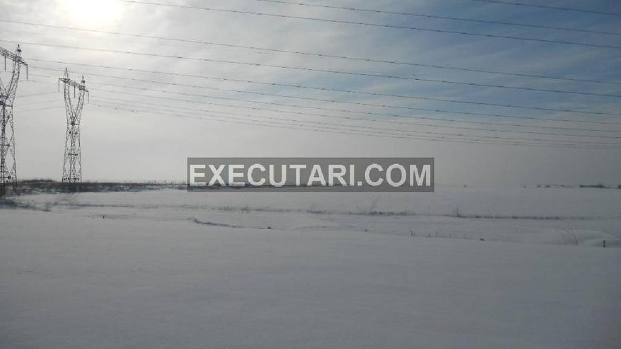 DASCALU VARASTI ILFOV Teren extravilan,arabil - 12,500 m² - 2
