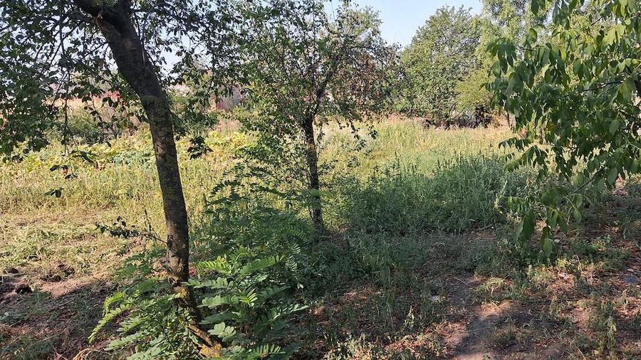 Casă cu 2 camere cu Teren 1000 Mp în Valea Mare