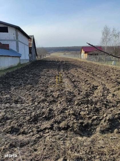 Teren de 2900 mp, în Adâncata