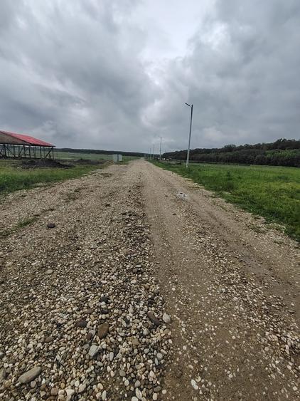 Teren Construcții intravilan de 860 mp, în Crevedia