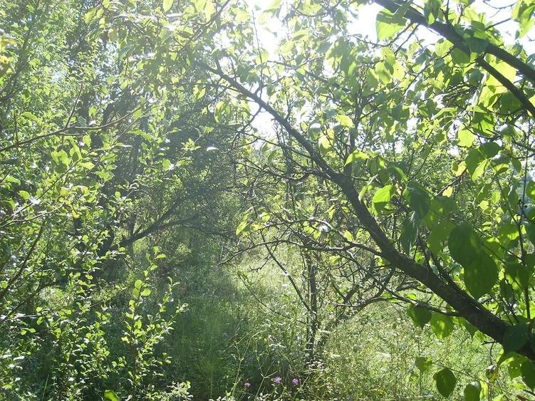Teren de 5349 mp, în Vlădești