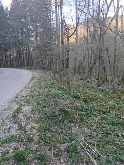 Teren de 1650 mp, în Central