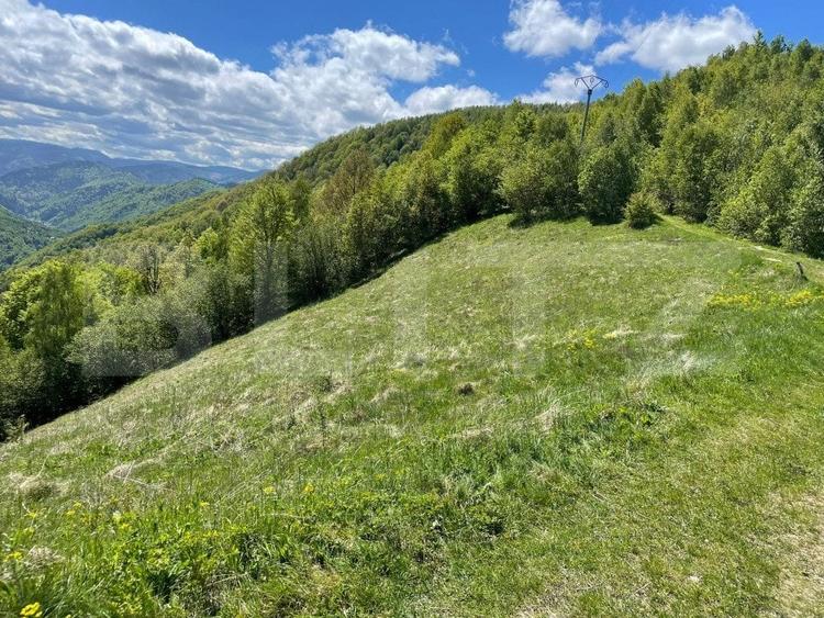 Teren agricol extravilan de 6000 mp, în Valea Ierii