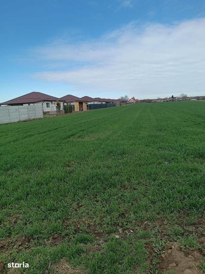 Teren de 5000 mp, în Săbăreni