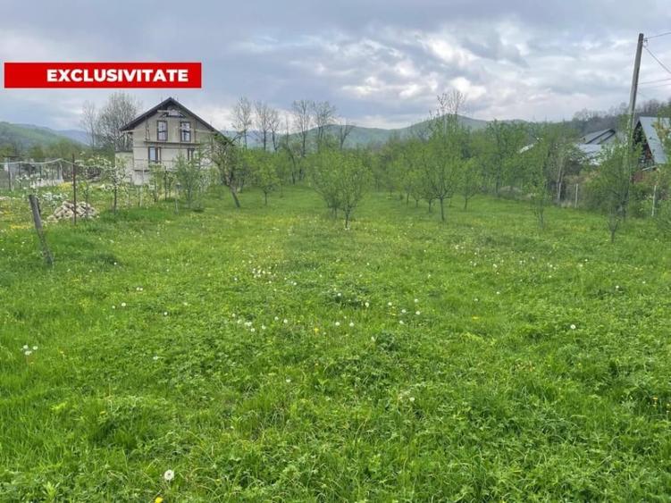 Teren Intravilan 12500 mp Drajna de Sus - Teisani. - 2