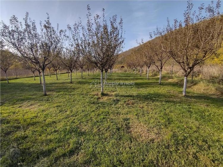 Teren de 1445 mp, în Slatina-Nera