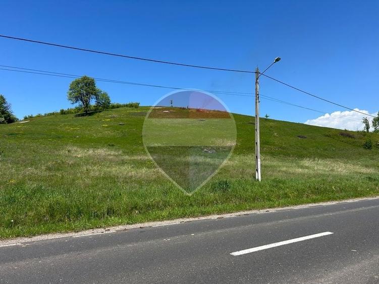 Teren Construcții intravilan de 7430 mp, în Berința