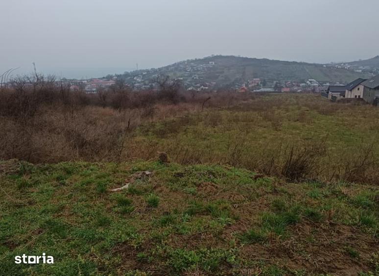 Teren de 11000 mp, în Tomești