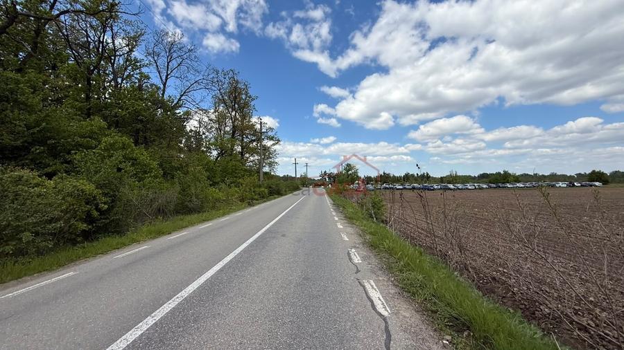Teren agricol extravilan de 20000 mp, în Căscioarele (Găiseni)