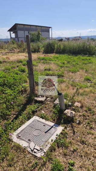 Teren Construcții intravilan de 12003 mp, în Schela Cladovei