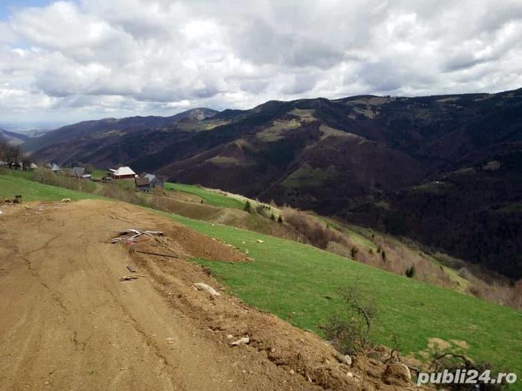 Teren de 5619 mp, în Măguri