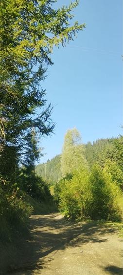 Teren de 2800 mp, în Telec