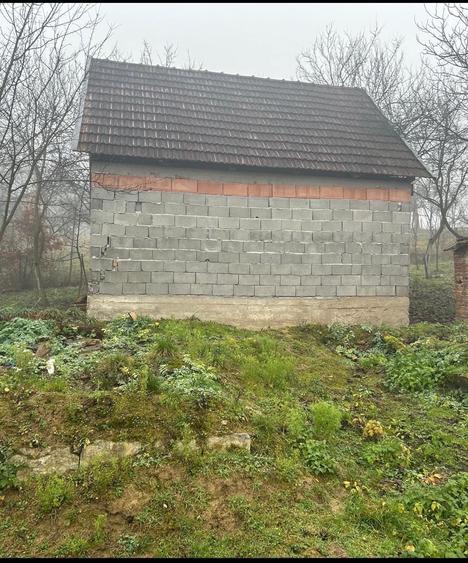 Casă cu 3 camere în Dobricionești