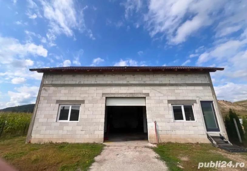Casă cu 1 camere în Central