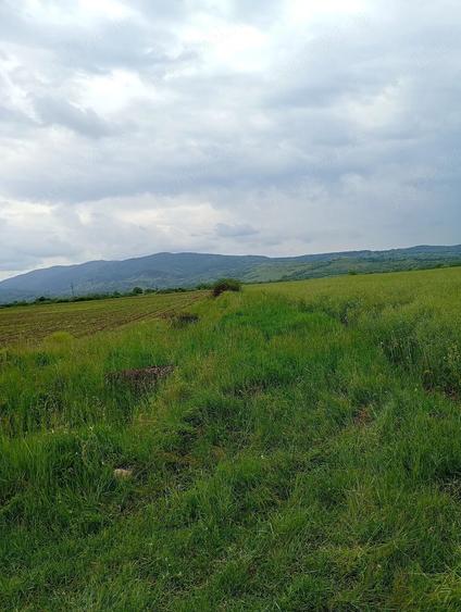Teren de 2900 mp, în Central