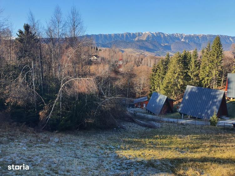 Spațiu comercial, în Bran