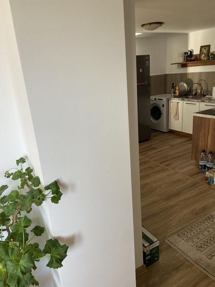 Casă cu 3 camere în Gura Câlnăului