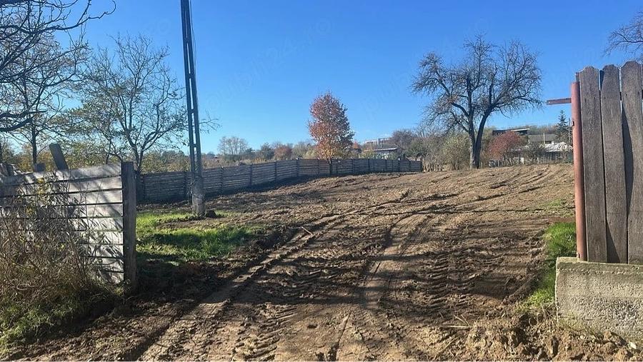 Teren de 1560 mp, în Ciurea