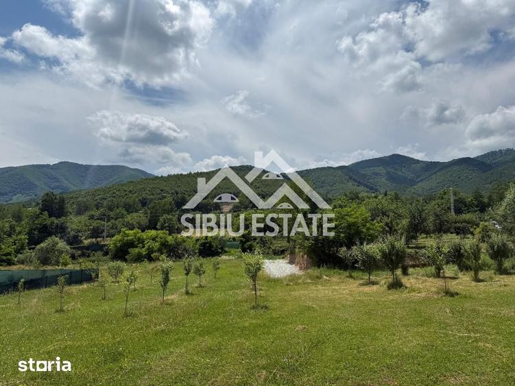 Teren Intravilan 650 mp de Vanzare in Tocile - 3