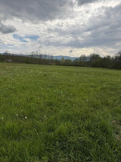 Teren de 3000 mp, în Șinca