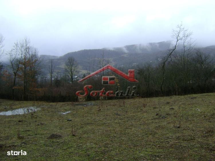 Teren de vanzare in Provita de jos - 8