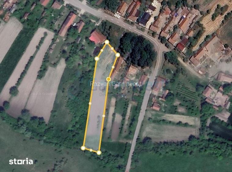 Teren intravilan de vanzare in Niuved, loc Tamaseu, Gaminvest-V4610