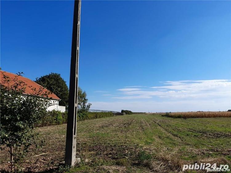 Teren de 9100 mp, în Central