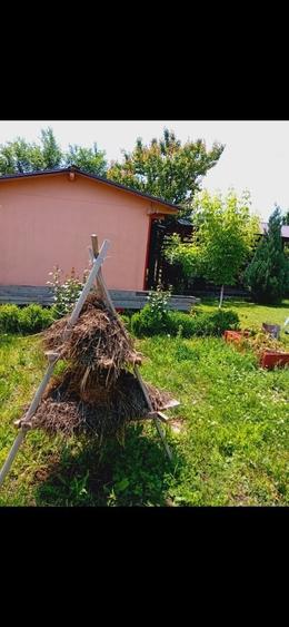 Casă cu 3 camere în Central