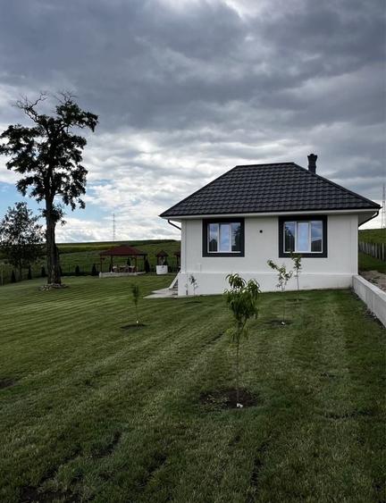 Casă cu 3 camere în Tritenii de Jos