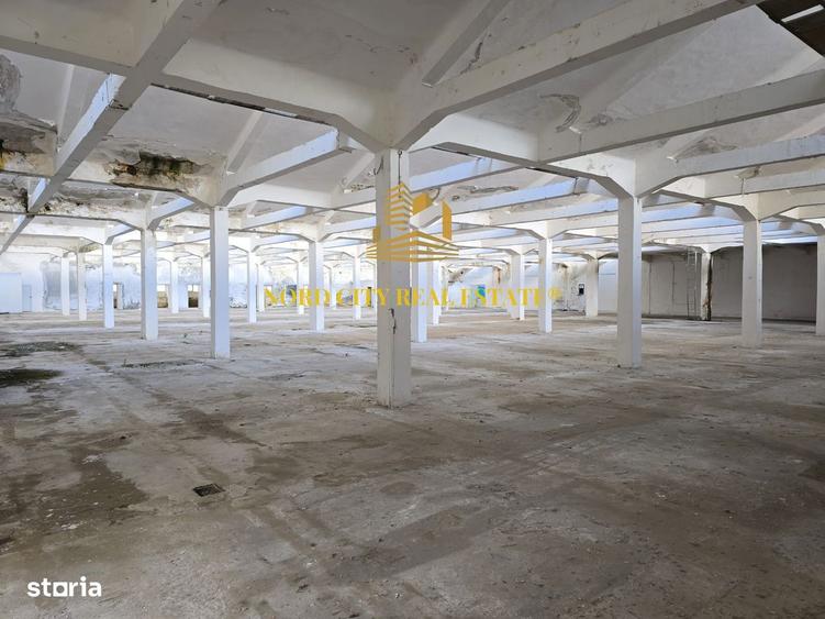 Spațiu comercial, de 21,018 mp, în Nord