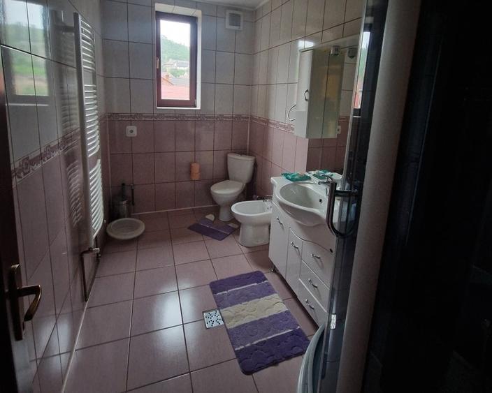 Penthouse cu 7 camere decomandat în Muncitoresc