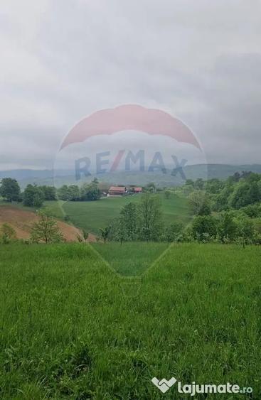 Teren de 2723 mp, în Bratca