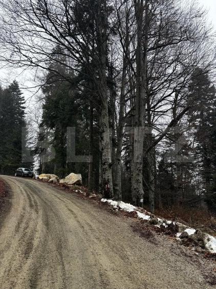 Teren Construcții intravilan de 4000 mp, în Calea Moroieni