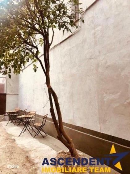 Casa cu 3 apartamente + transfer afacere, locuri parcare, Centrul Isto - 12