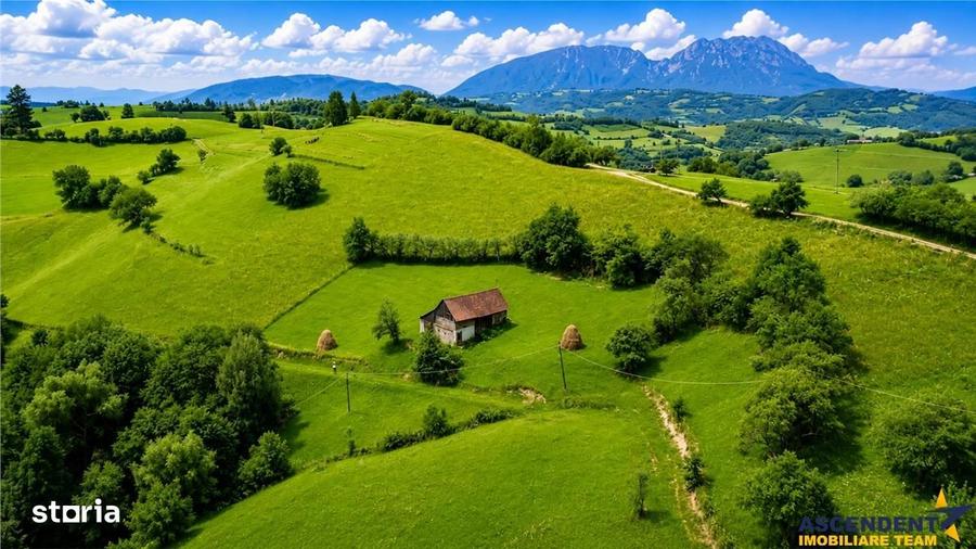 Spațiu comercial, în Poiana Mărului