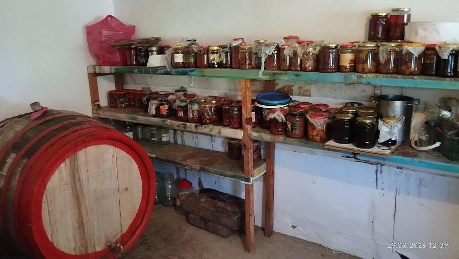 Casă cu Teren 1900 Mp în Sascut
