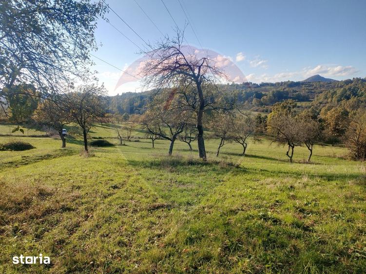 Teren de 1808 mp, în Șișești