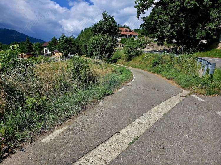 Teren de 600 mp, în Viișoara