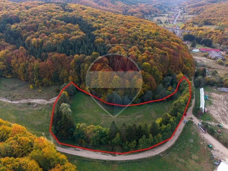 Teren agricol extravilan de 9540 mp, în Teliu