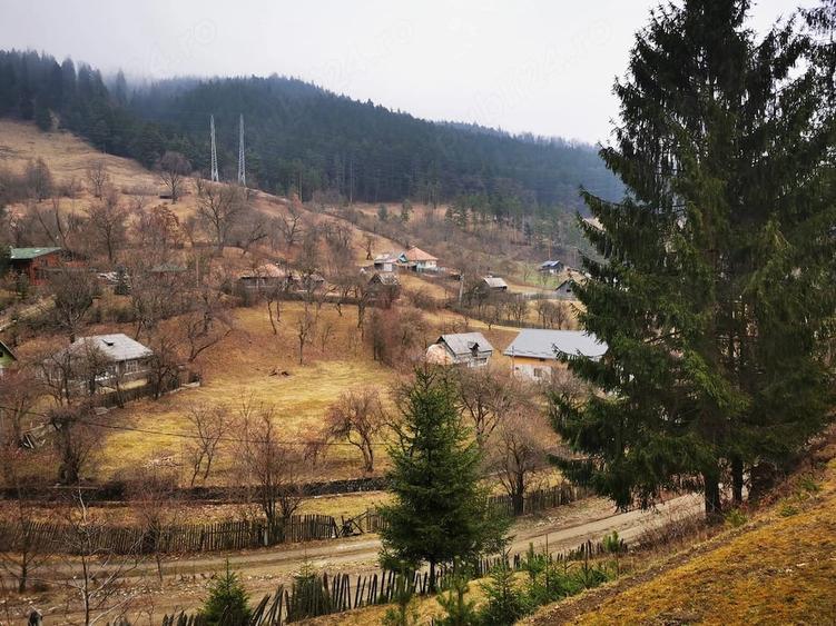 Teren de 2000 mp, în Stejaru (Pângărați)