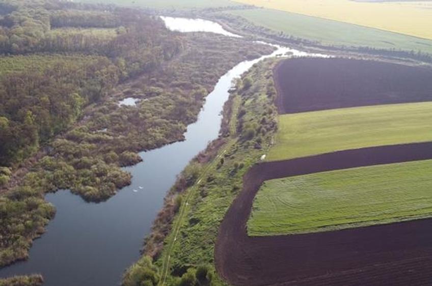 Teren Construcții intravilan de 25000 mp, în Moara Vlăsiei