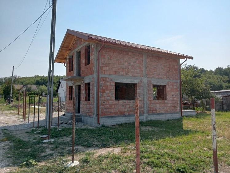Casă cu 3 camere în Radu Negru