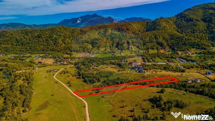 Teren Rasnov, Valea Panicelului 4253mp, izvor pe teren - 5