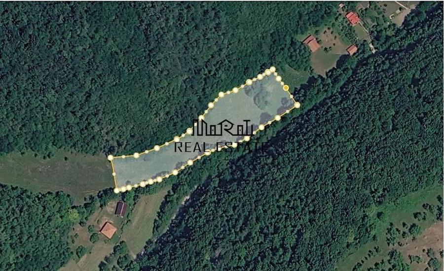 Teren de 5800 mp, în Podele