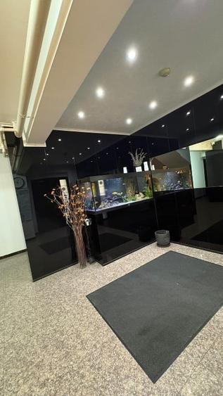 Apartament cu 2 camere decomandat, mobilat în Băneasa
