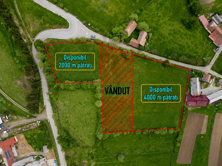 Teren Construcții intravilan de 6000 mp, în Barcani