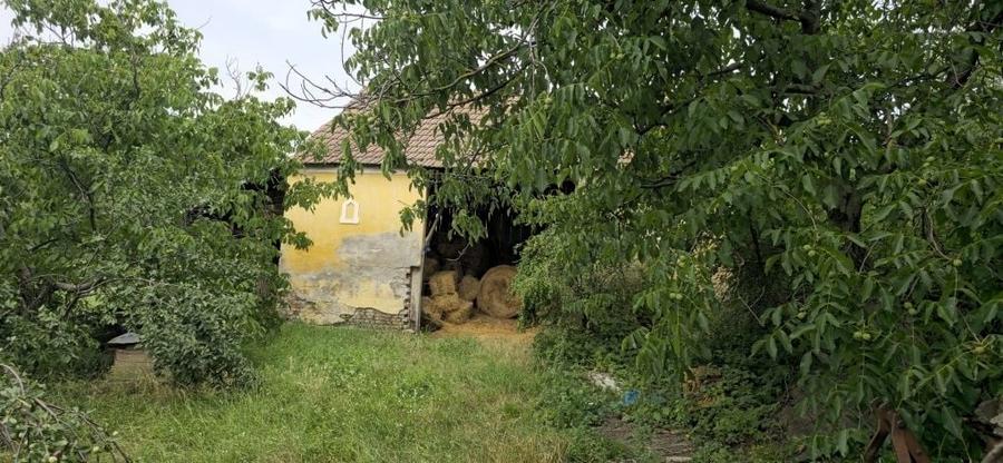 Casă cu 3 camere în Central