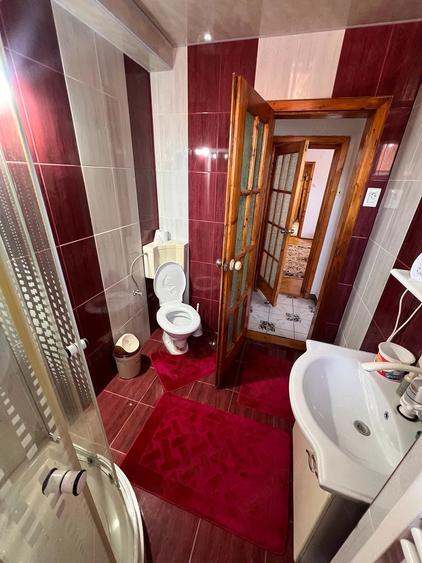 De Vanzare Apartament 2 Camere Caransebes - 2