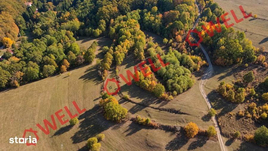 Teren de 4500 mp, în Bățani