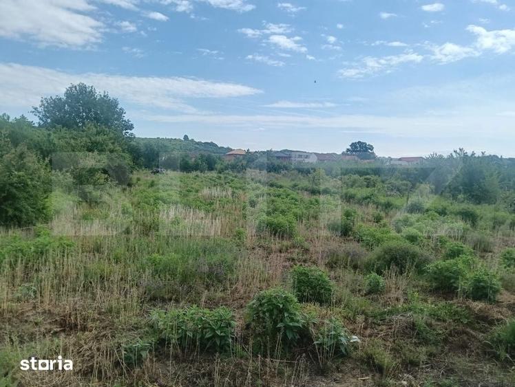 Teren de 1200 mp, în Central